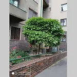 A Cosy Studio In The City Centre