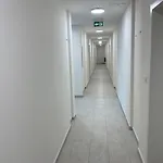 Air-Conditioned, 2 Room Apartment With Terrace