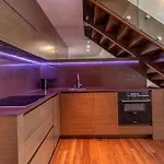 Luxury With Danube River View
