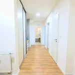 Brand New Apartment By Hockey Stadium