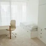 Smart Self Check-in Ambiente Apartments