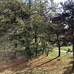 Family-Friendly Home In Bratislava