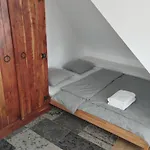 Attic Apartment Catnip