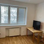 Brand New Apartment In The Heart Of Bratislava