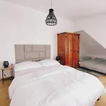 Attic Apartment Catnip