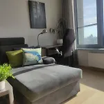 Cozy 2 Rooms Flat - Castle View