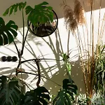 Evergreen - Old Town Spacious Stylish Apartment With Ac And One And A Half Bath, Baby & Kid- Friendly