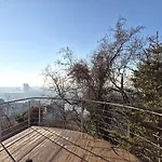 Amazing View Of The River Donau