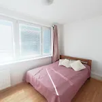 Charming 1 And Half Room Apartment