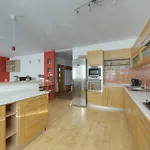Lovely Bratislava Apartment