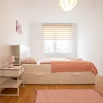 Spacious Apartment In The Old Town Of Bratislava