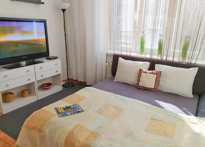 Mini Flat Belehradska