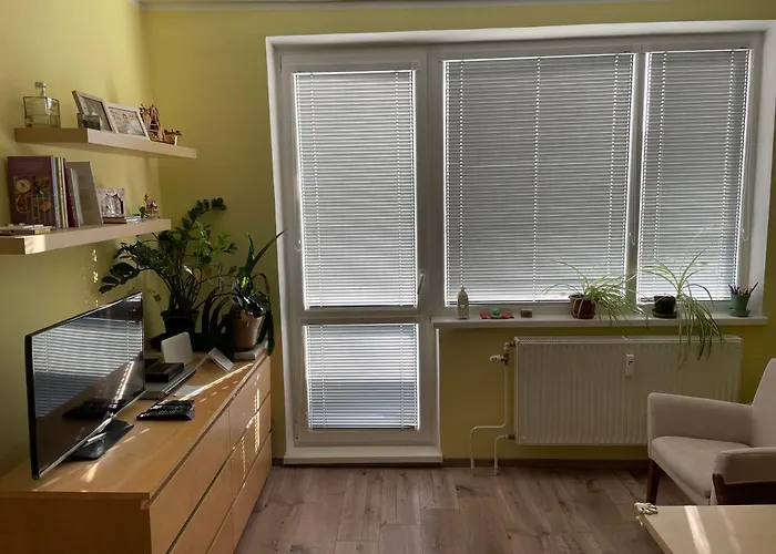 Utulny Byt V Sirsom Centre - Cosy Apartment