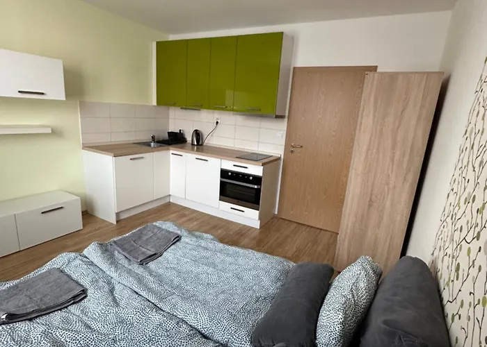 Private Apartment 1Km From Center