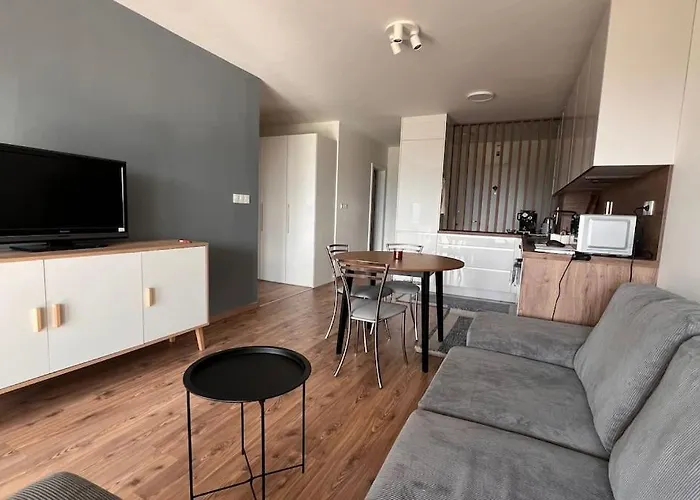 2 Room Apartment, Terrace, New Building Moruse