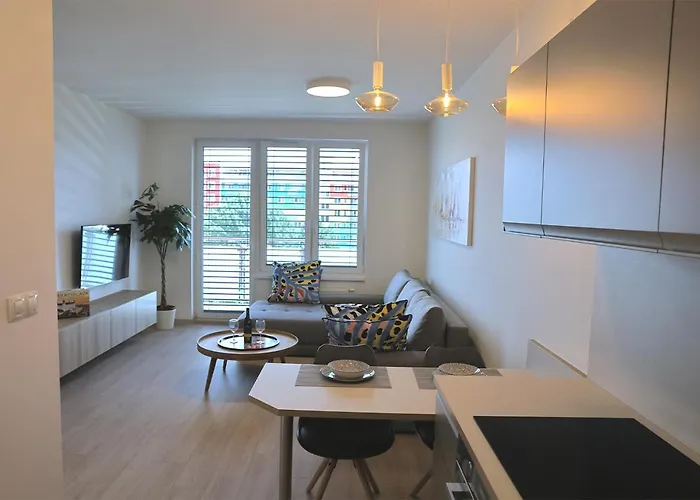 Two Room Apartment Bratislava Check In -C