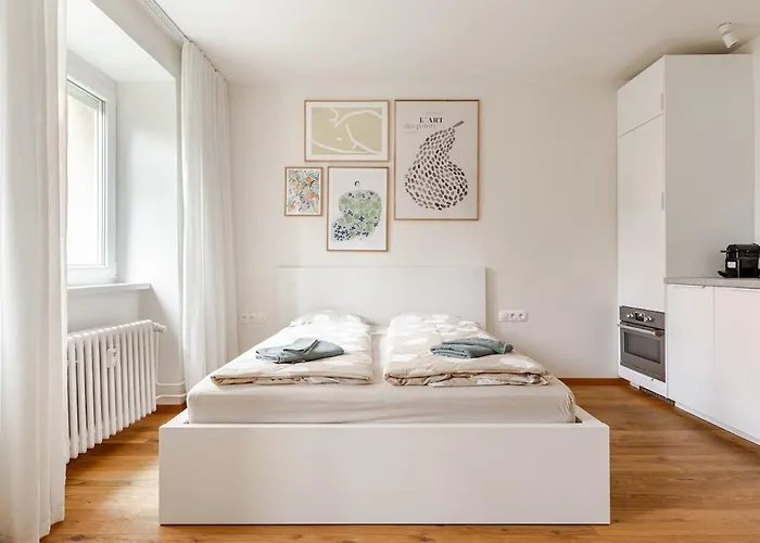 Newly Renovated 1-Room Apartment In Historic Center