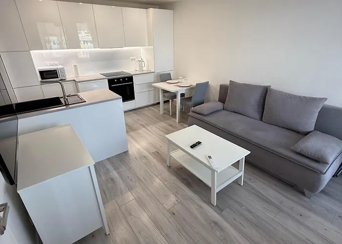 Modern Apartment Near City Center With Easy Transport Access