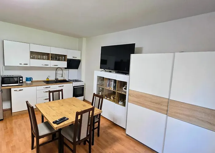 Ac 2 Room Apartment, Sancova 25