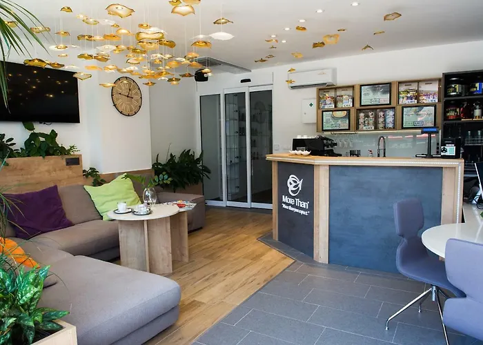 More Than Accommodation
