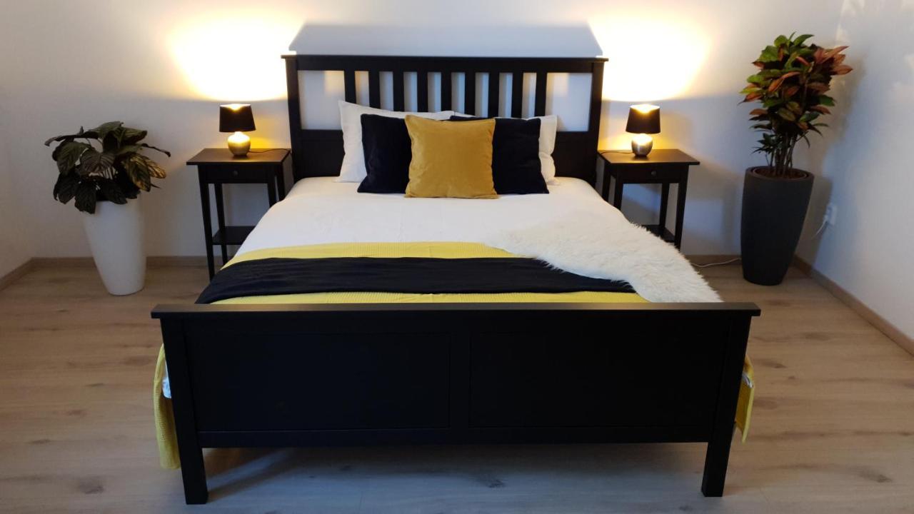 Le Monde - Amazing 5bdr In Downtown Apartment Pressburg
