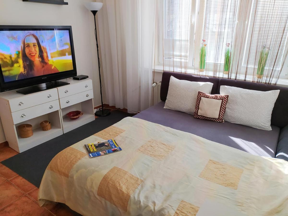 Mini Flat Belehradska Bratislava