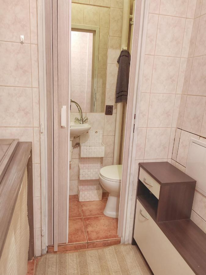 Apartment Mini Flat Belehradska