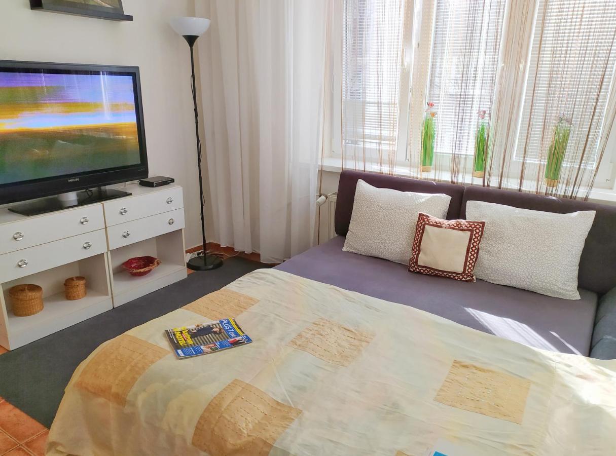 Mini Flat Belehradska Apartment