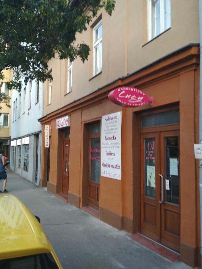 Jonas - Great Location Near Center * Bratislava