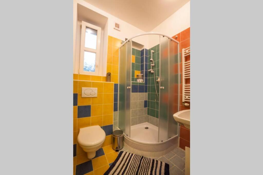 Luxury Air-conditioned Family Spitalska Old Town *