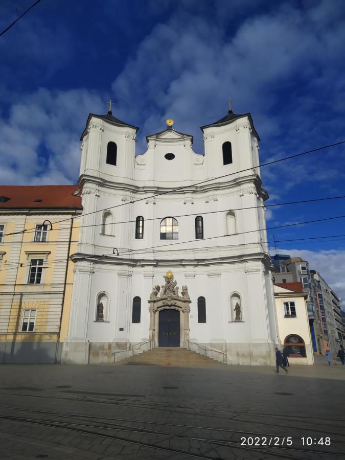 Apartment Krasny S Vyhladmi V Historickom Centre *