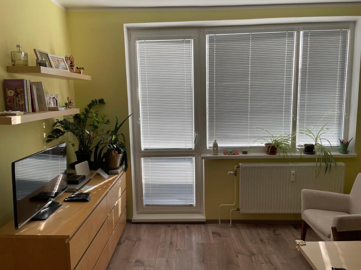Apartment Utulny Byt V Sirsom Centre - Cosy Apartment Bratislava