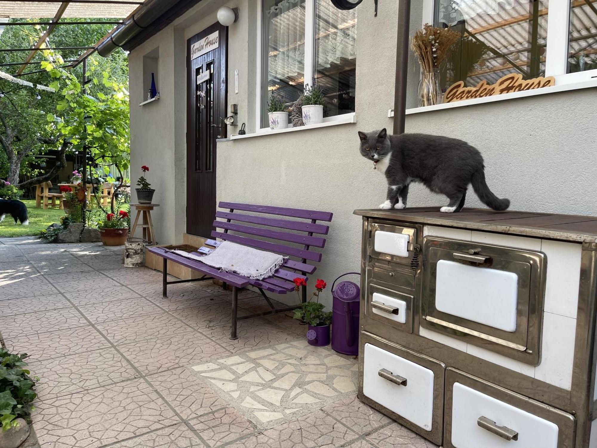 Holiday home Garden House Bratislava