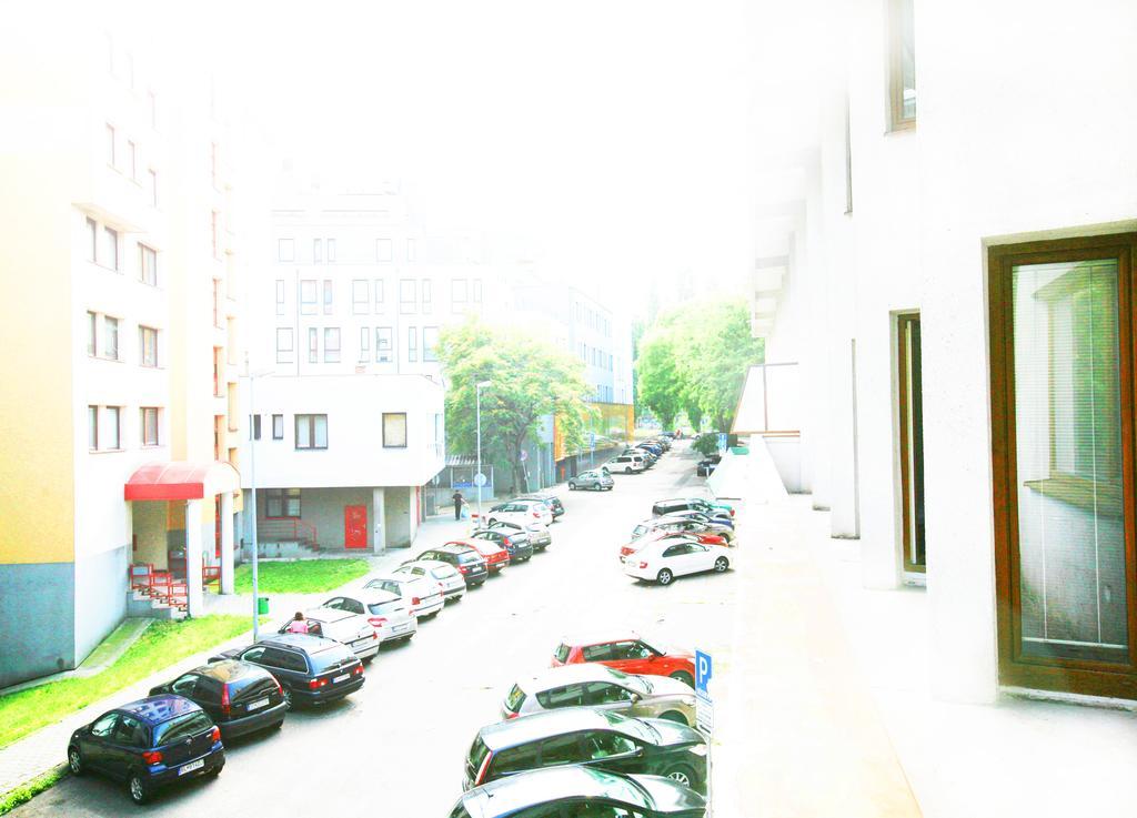 By Freddie Bratislava