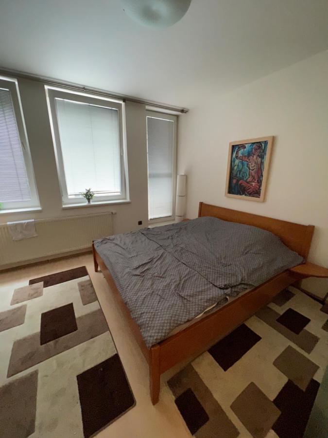 Apartment Apartman S Vyhladom Na Hrad