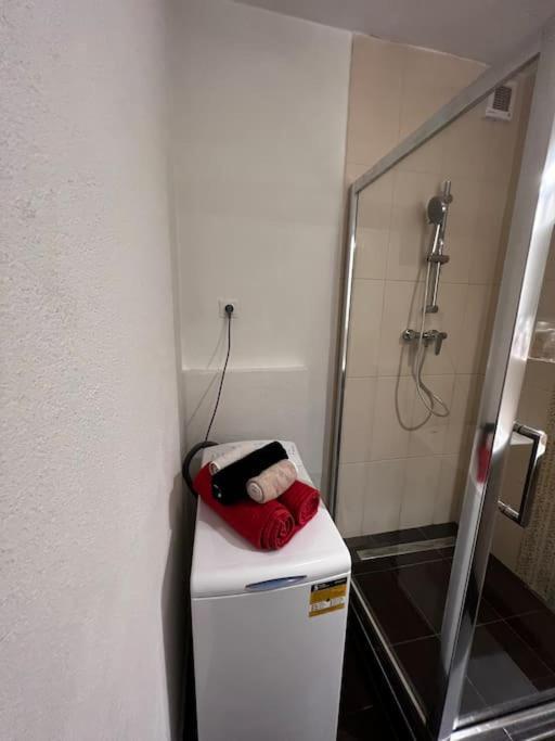 Apartment Priestranny Utulny Byt V Ruzinove