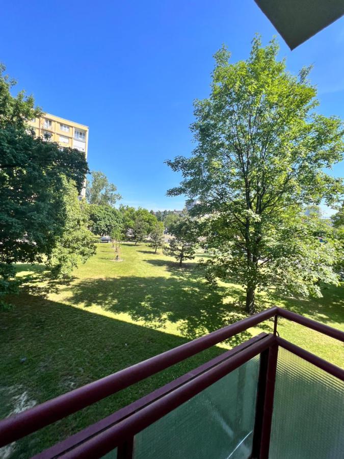 Apartment Priestranny Utulny Byt V Ruzinove