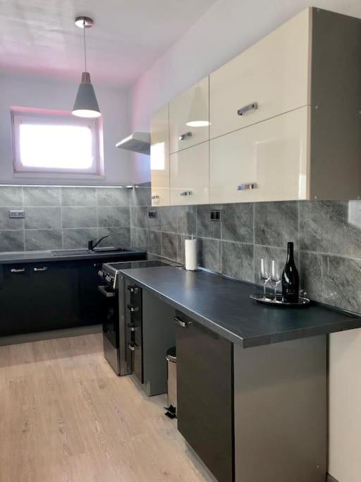 Apartment Spacious Near Hockey And Football Arena