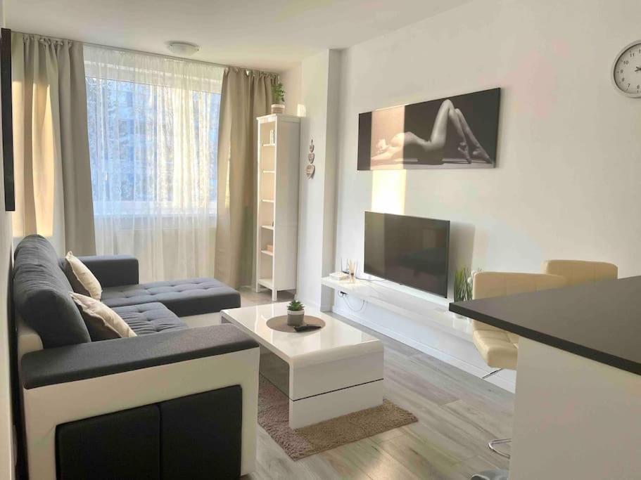 Apartment Great Location, Private Parking, New