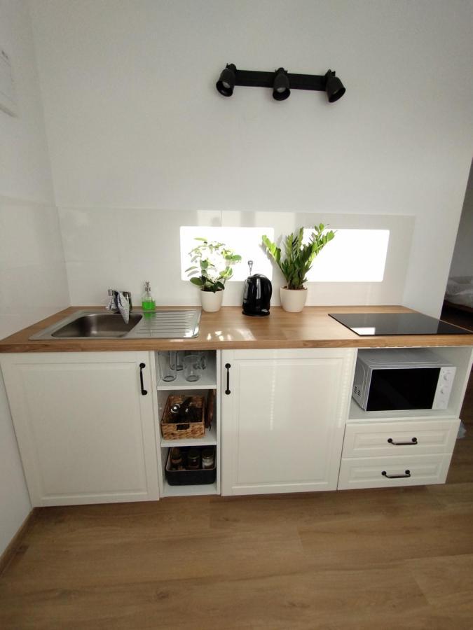 Apartment Attic Catnip Bratislava