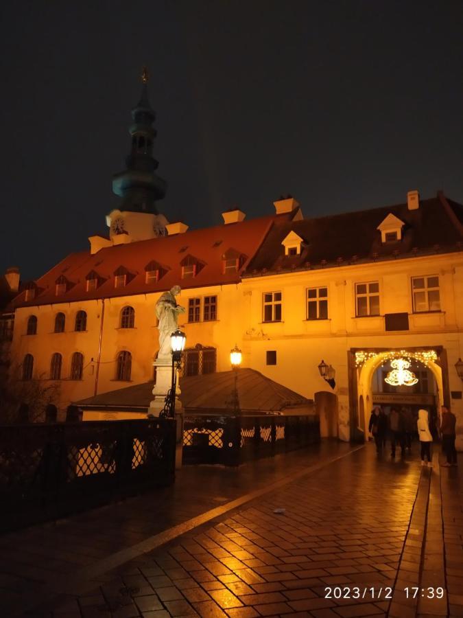 Krasny S Vyhladmi V Historickom Centre Apartment *