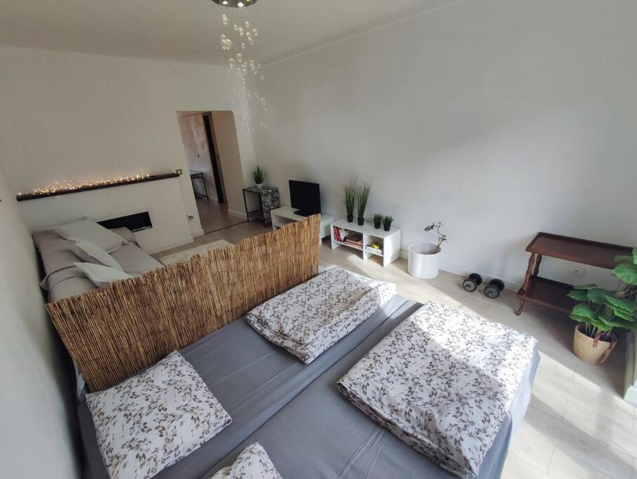 Apartment Design In Center