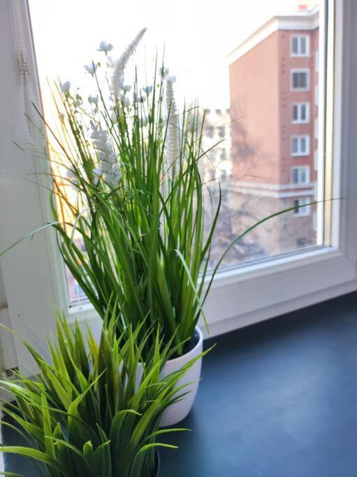 Design In Center Apartment