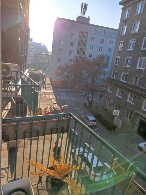 Apartment Design In Center *