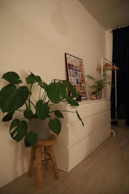 Sunny Cozy Apartment