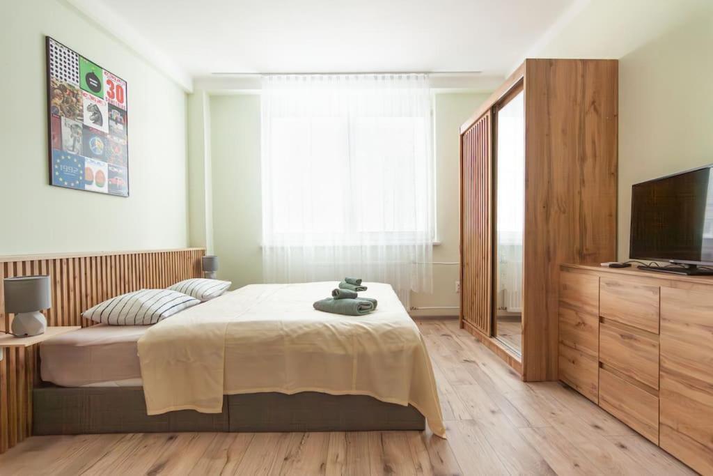Vysoka Emf/stp Apartment