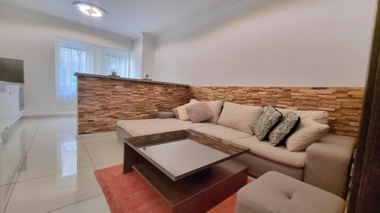 Apartment Spacious In Center