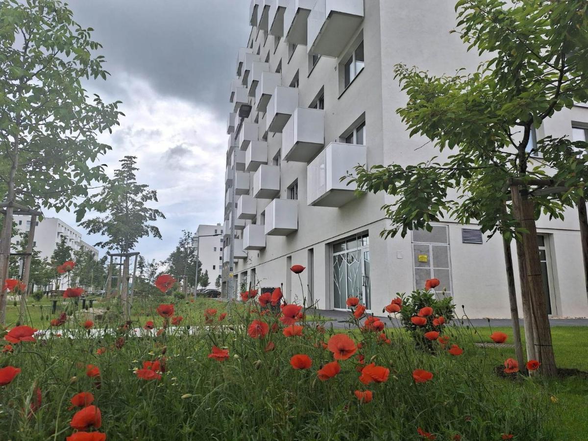 Large 75 M2 Next To Airport - Free Parking * Bratislava
