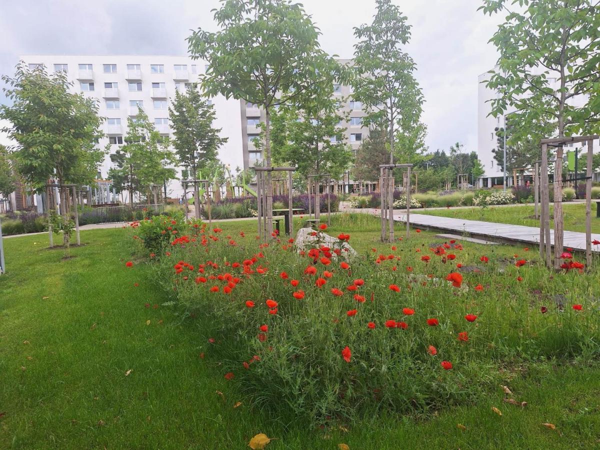 Apartment Large 75 M2 Next To Airport - Free Parking *
