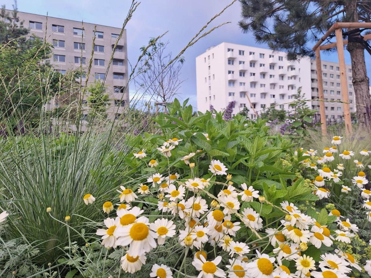 Large 75 M2 Next To Airport - Free Parking Apartment